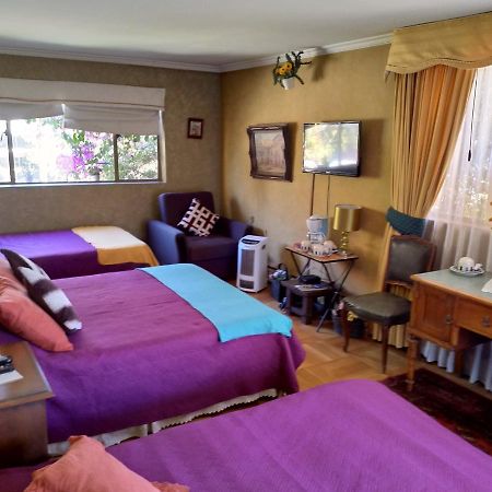 Bed & Breakfast Blumen Haus Santiago Exterior photo