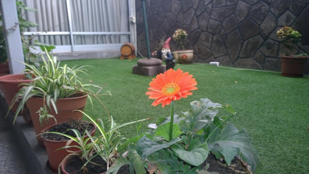Bed & Breakfast Blumen Haus Santiago Exterior photo